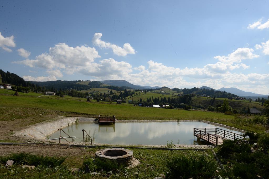 Pensiunea La Bella Vista بويانا نيغري المظهر الخارجي الصورة